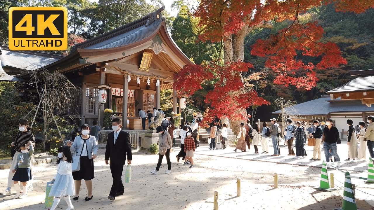 ⛩️ 호만구 카마도 신사 이미지 5